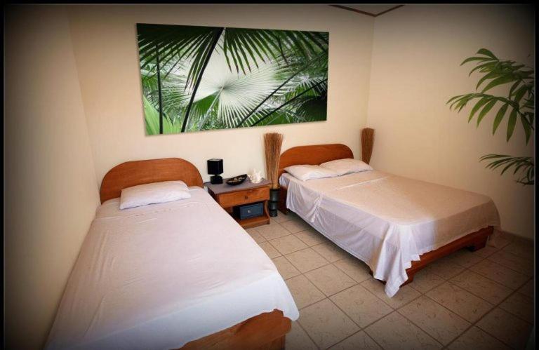 Hotel Blue Palm Jacó Exteriér fotografie