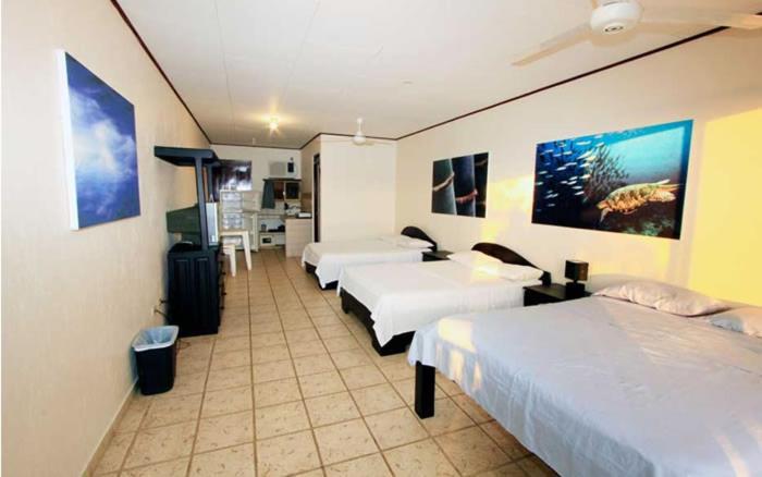 Hotel Blue Palm Jacó Exteriér fotografie